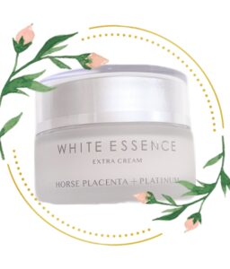 瑞穂市　歯医者　エクストラクリーム　吉田歯科医院