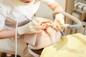 瑞穂市　歯医者　秋にみられるお口のトラブル　吉田歯科医院