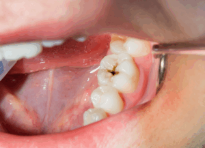 診療案内｜ホワイトエッセンス吉田