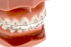 診療案内｜ホワイトエッセンス吉田