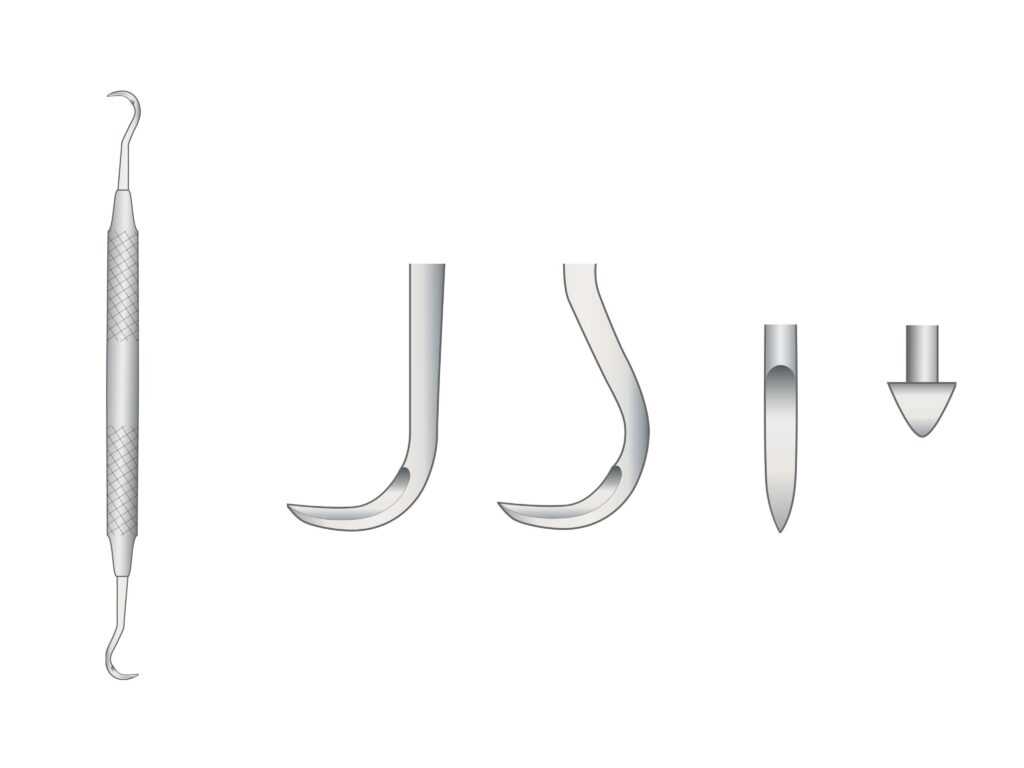 瑞穂市 歯医者 歯科衛生士国家試験対策 吉田歯科医院